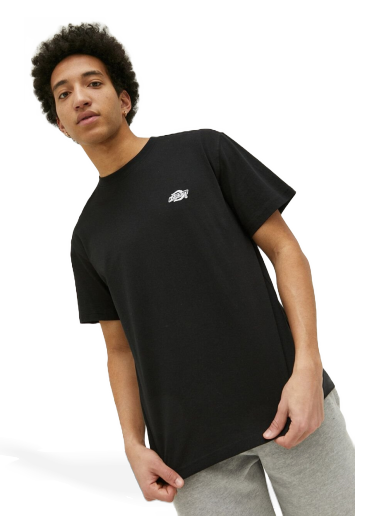 T-shirt Dickies Cotton T-shirt Sort | DK0A4YAIBLK1