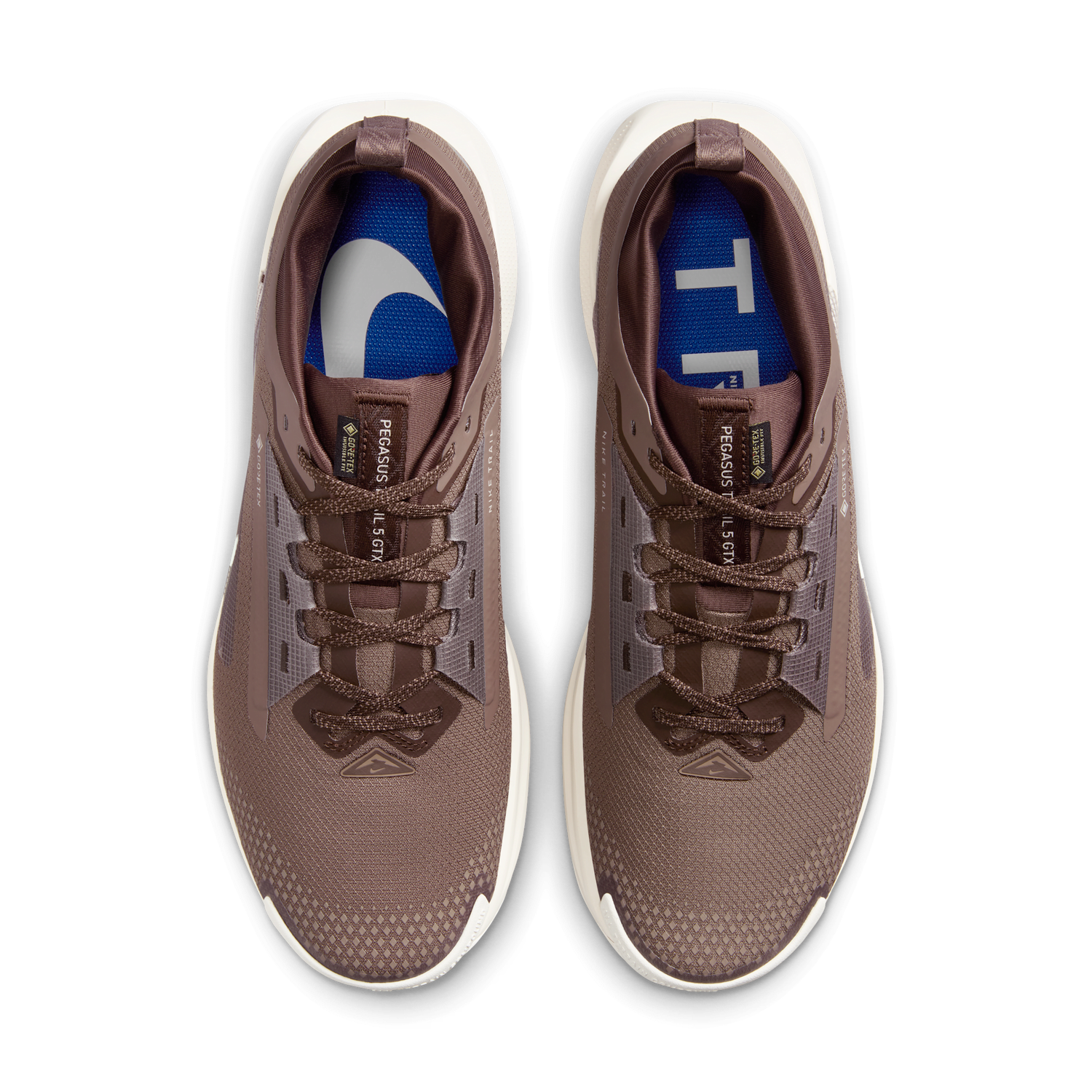 Sneakers og sko Nike Pegasus Trail 5 GORE-TEX SP Brun | HQ7494-200, 1
