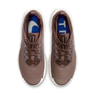 Sneakers og sko Nike Pegasus Trail 5 GORE-TEX SP Brun | HQ7494-200, 1