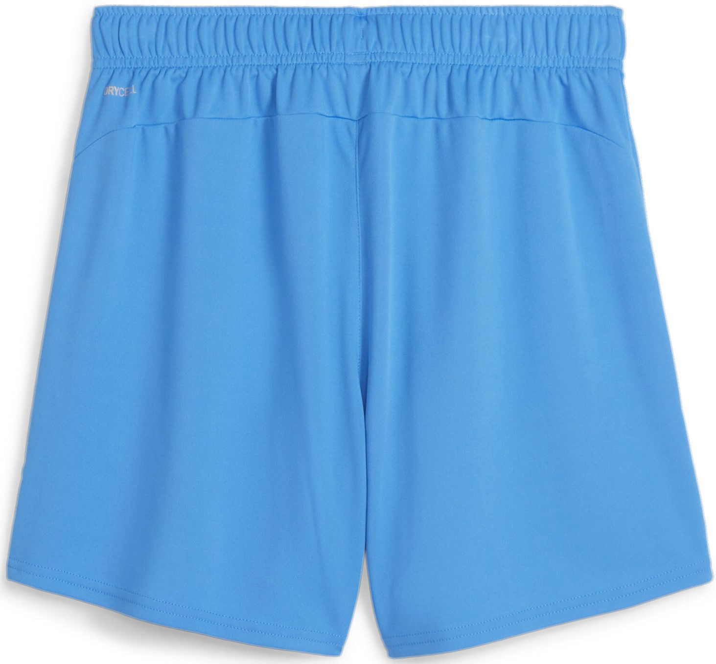 Shorts Puma teamGOAL Shorts Wmns Blå | 705754-02, 1