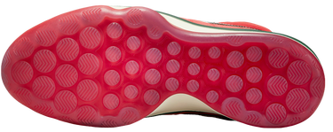Sneakers og sko Nike AIR ZOOM G.T. HUSTLE 2 Rød | dj9405-601, 4