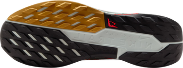 Sneakers og sko Nike Pegasus Trail 5 GORE-TEX Grøn | fq0908-301, 4