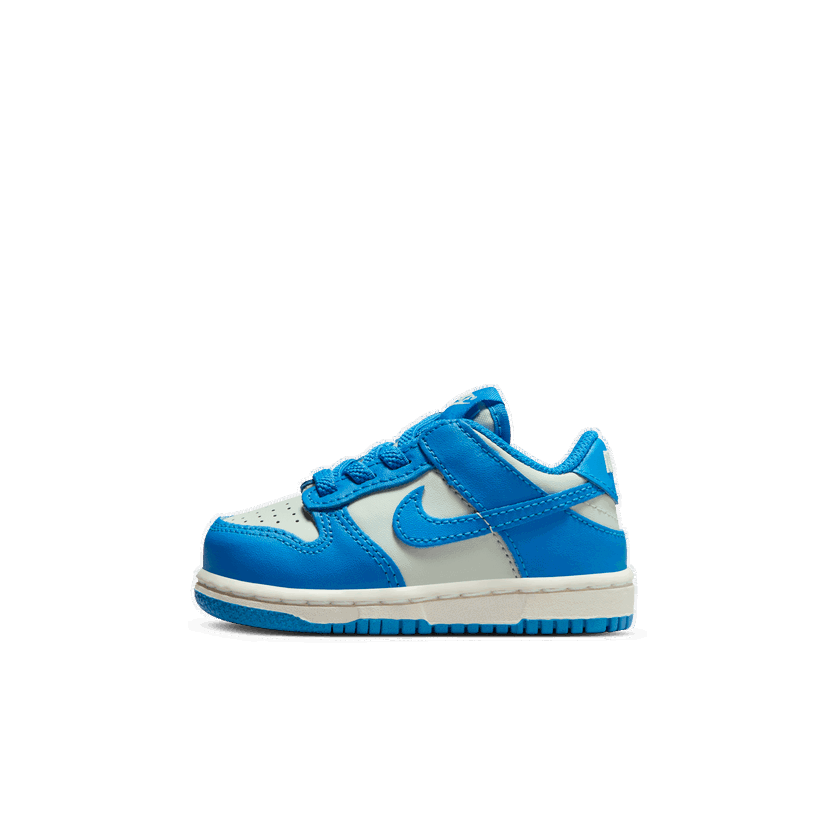 Sneakers og sko Nike Dunk Low Blå | FB9107-004
