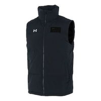 Down 2.0 Vest
