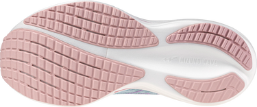 Sneakers og sko Mizuno Mizuno Wave Rider 29 Blå | j1gd2503-25, 5