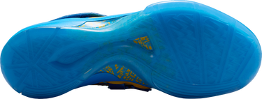 Sneakers og sko Nike Zoom KD IV Gul | FZ5916, 2