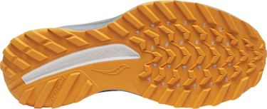 Sneakers og sko Saucony Saucony RIDE TR2 Flerfarvet | s20951-245, 4