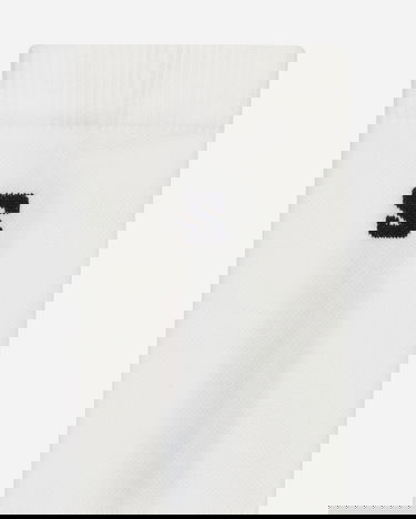 Undertøj og sokker Salomon Pulse Race Flag Crew Socks White Hvid | LC2262200, 3