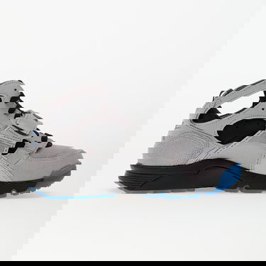 Sneakers og sko Nike Air Trainer Huarache Grå | IH4469-012, 1