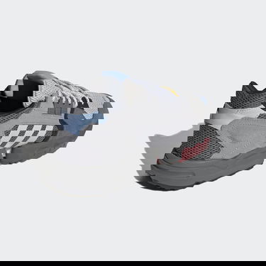 Sneakers og sko adidas Originals Ninja ZX Torsion Grå | FW5957, 1