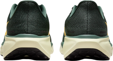 Sneakers og sko Nike Pegasus 41 Grøn | fd2722-301, 4