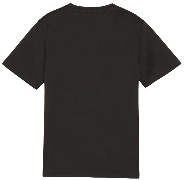 T-shirt Puma teamGOAL T-Shirt Sort | 658636-03, 1