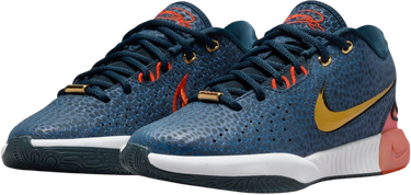 Sneakers og sko Nike LeBron XXI SE Blå | FV3606-400, 2
