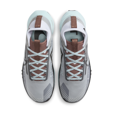 Sneakers og sko Nike Pegasus Trail 4 GORE-TEX Grå | DJ7929-005, 1