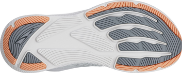 Sneakers og sko Altra Running Altra Experience Flow 2 Grå | al0a85rf-2201, 1
