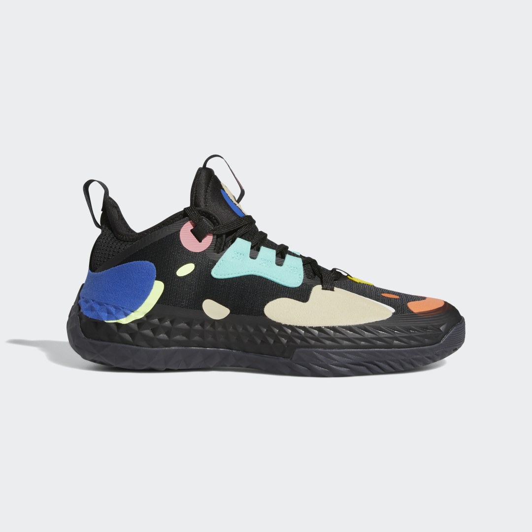 Sneakers og sko adidas Performance Harden Vol. 5 Futurenatural Sort | FZ1070, 0