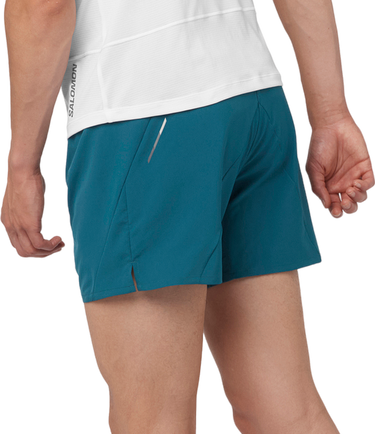 Shorts Salomon CROSS 5 SHORTS M Grøn | lc2196900, 1