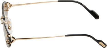 Solbriller Cartier Cartier Oval Sunglasses Grå | CT0467S-001, 4