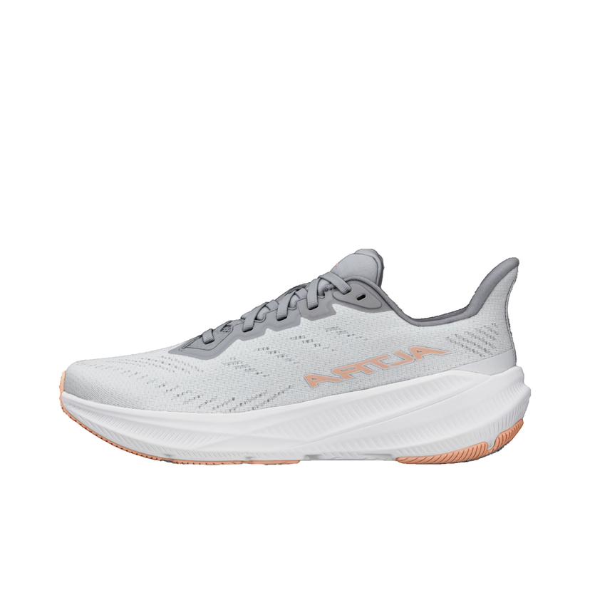 Sneakers og sko Altra Running Altra Experience Flow 2 Grå | al0a85rf-2201