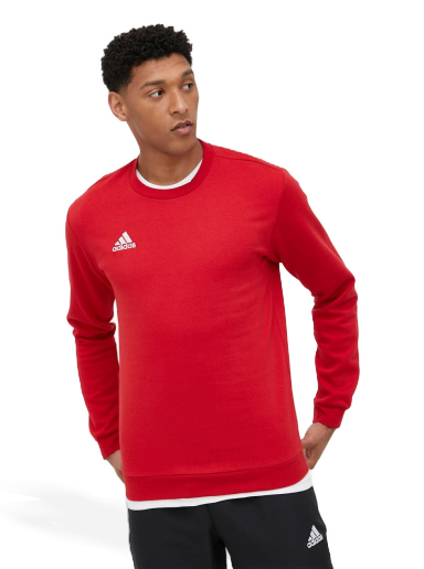 Sweatshirt adidas Originals Sweatshirt Entrada 22 Rød | hb0577