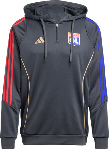 Sweatshirt adidas Originals Olympique Lyonnais TR Hoody Grå | jl9490, 0