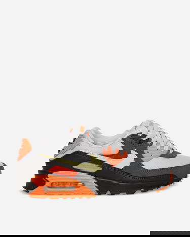 Sneakers og sko Nike Air Max 90 Flerfarvet | DM0029-018, 0