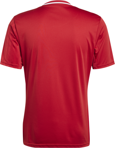 Jersey adidas Originals Adidas Campeon 25 Jersey Rød | jf6058, 2