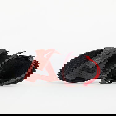 Sneakers og sko Nike ACG Air Deschutz Rød | DC9092-600, 2