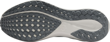 Sneakers og sko Nike Pegasus 41 Grå | fd2723-007, 4