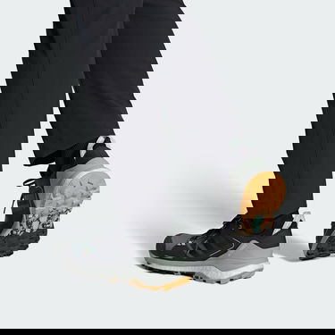 Sneakers og sko adidas Performance Terrex Skychaser GRTX Hiking 2.0 Grå | IE6893, 2