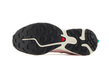Sneakers og sko Salomon Sandy Liang x XT-6 Lyserød | L47242200, 2