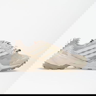 Sneakers og sko adidas Performance Terrex Skychaser GTX Beige | JS4610, 4