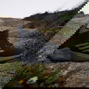 Sneakers og sko adidas Performance Terrex Trailmaker 2.0 Mid Gore-Tex Sort | IE9062, 4