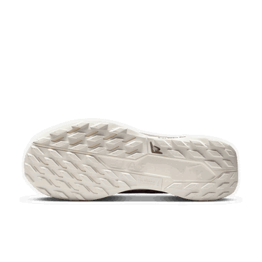 Sneakers og sko Nike Pegasus Trail 5 GORE-TEX SP Brun | HQ7494-200, 3