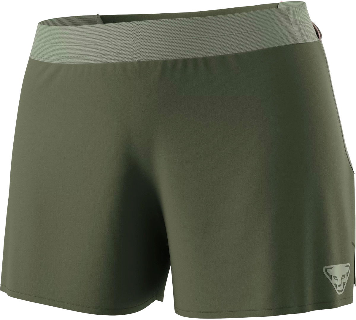 Shorts Dynafit SKY Shorts Grøn | 08-0000071654-5561, 1