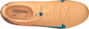 Sneakers og sko Nike Zoom Mercurial Vapor 16 Academy Kylian Mbappé FG/MG Flerfarvet | fq8377-801, 9