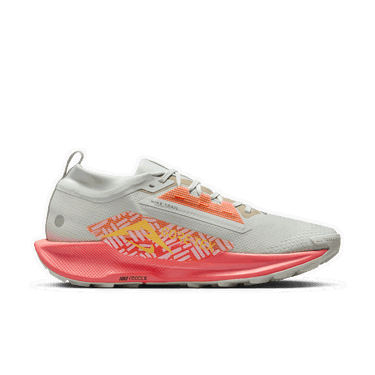Sneakers og sko Nike Pegasus Trail 5 GORE-TEX Grå | FQ0908-004, 4