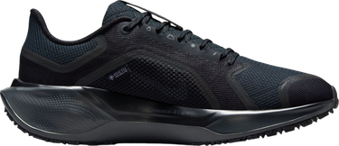 Sneakers og sko Nike Pegasus 41 GORE-TEX Sort | fq1357-001, 3