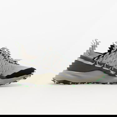 Sneakers og sko adidas Performance TERREX Voyager 21 Grå | GX8675, 1