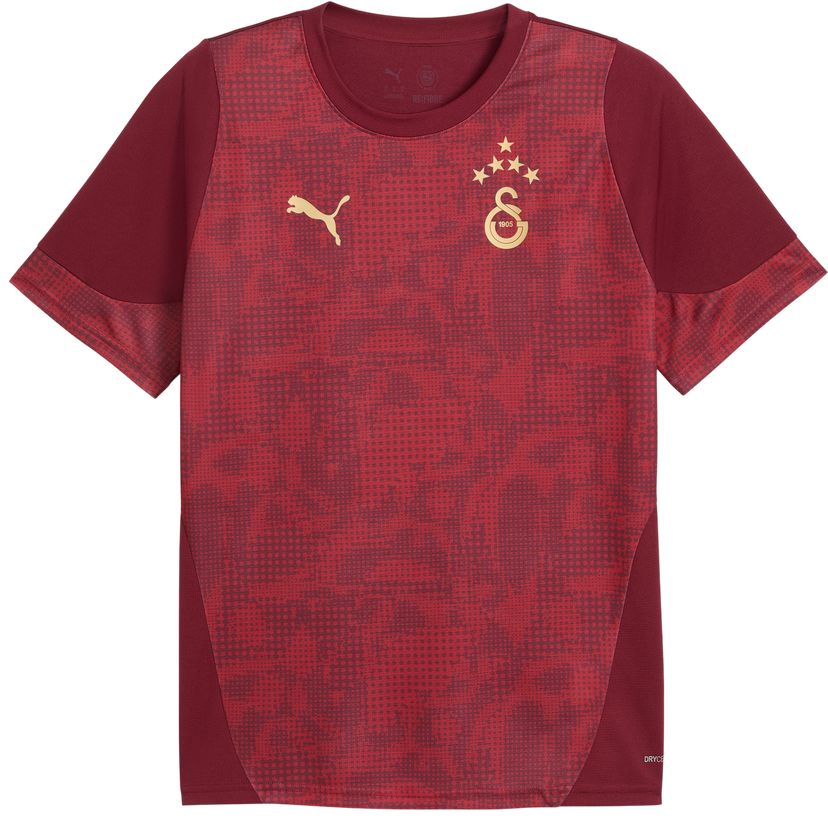 Jersey Puma Galatasaray Istanbul Patterned DRYCELL Training Jersey Bourgogne | 949105-003
