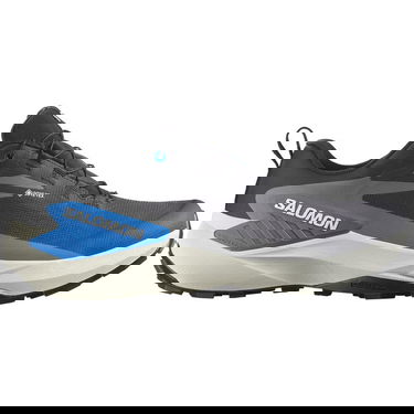 Sneakers og sko Salomon Genesis GTX Grå | L47807800, 0