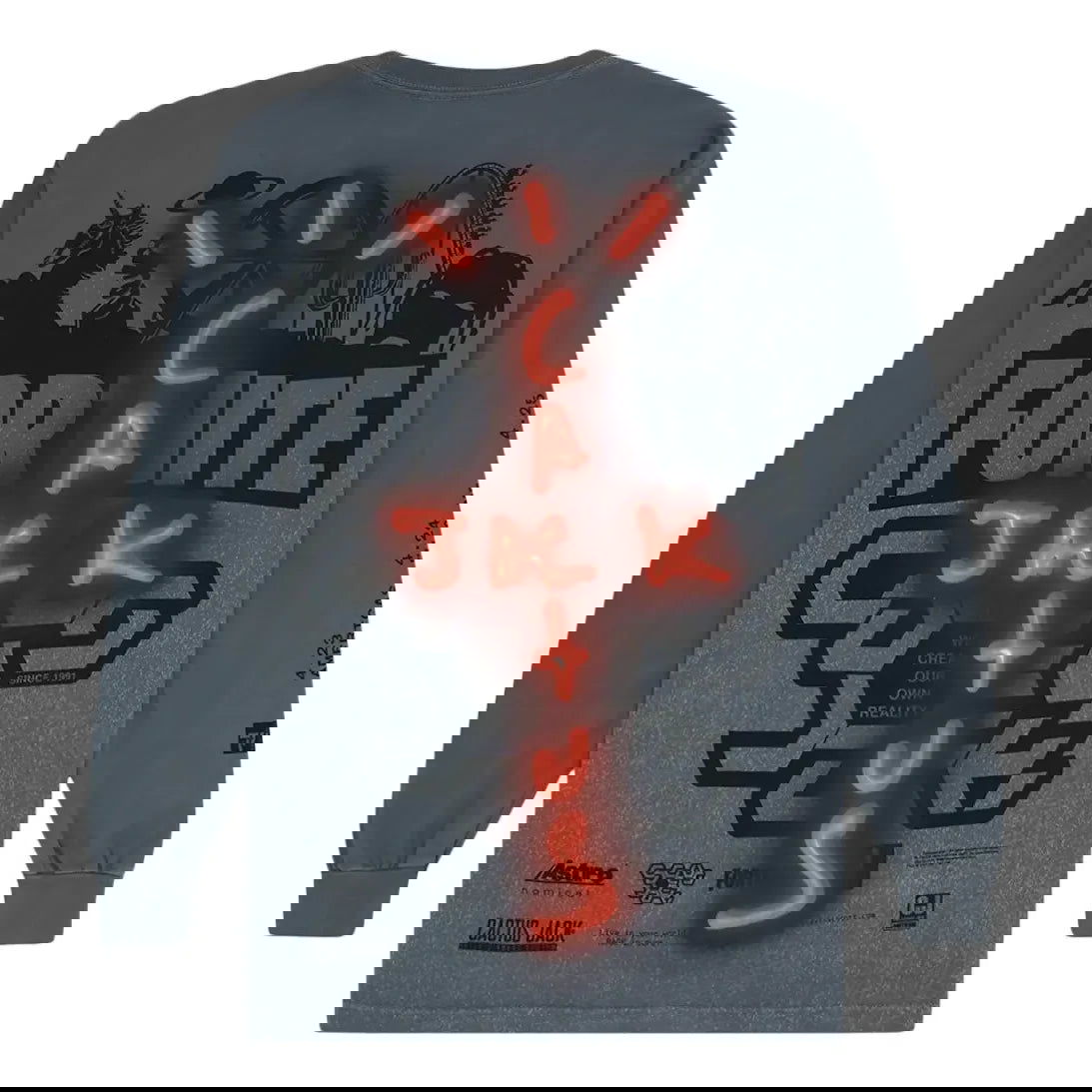 T-shirt Cactus Jack by Travis Scott Travis Scott Back Bling Long Sleeve T-Shirt Grå | TC-370, 0