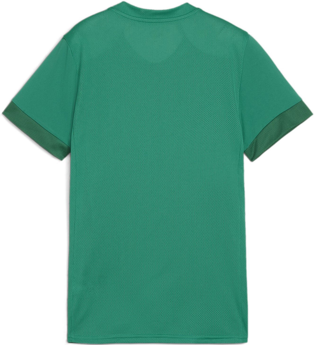 Jersey Puma teamGOAL Matchday Jersey Wmns Grøn | 705749-05, 1