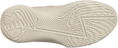 Sneakers og sko Under Armour CURRY 1 Low Flotro Lux Beige | 3027603-280, 2