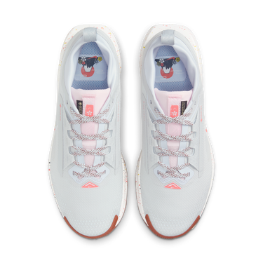 Sneakers og sko Nike Pegasus Trail 5 GORE-TEX Hvid | FQ0912-007, 1