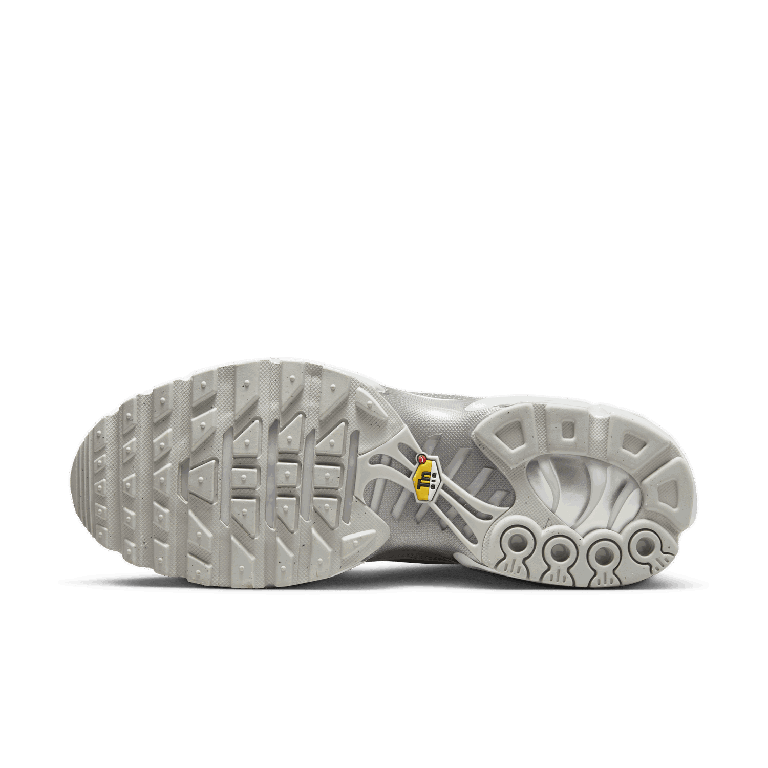 Sneakers og sko Nike Air Max Plus Grå | FJ1012-095, 1