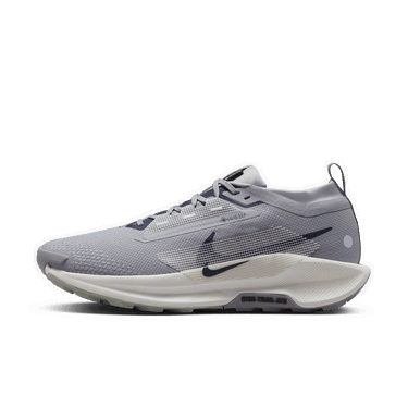 Sneakers og sko Nike Pegasus Trail 5 GORE-TEX Grå | FQ0908-006, 0
