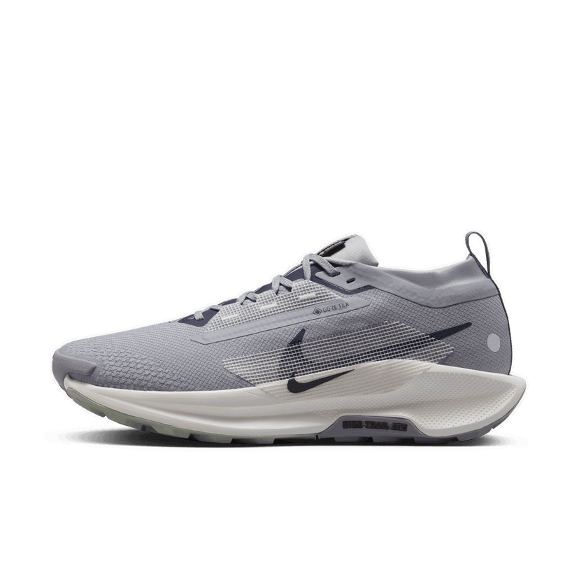 Løbe Nike Pegasus Trail 5 GORE-TEX Grå | FQ0908-006