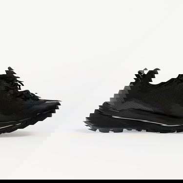 Sneakers og sko adidas Performance Terrex Skychaser Tech GTX Sort | IH1090, 2