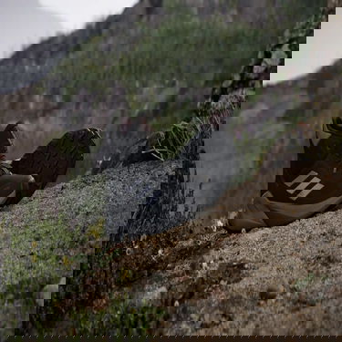 Sneakers og sko adidas Performance Terrex Trailmaker 2.0 Mid Gore-Tex Sort | IE9062, 1